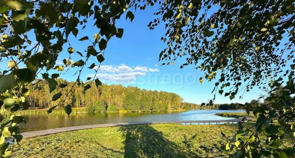 Земельный участок, 9 соток Домодедово - изображение 4