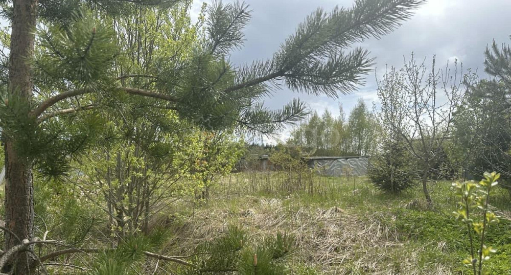 Земельный участок, 9 соток Истра - изображение 1