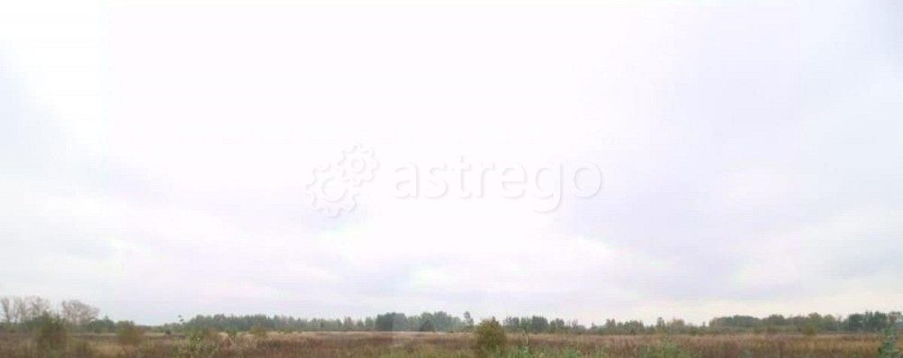 Коммерческий участок, 4.8 га Клин - изображение 1