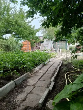 Продам дачу, 16 м2, Садовый участок 4.3 сот. Волгодонск - изображение 1