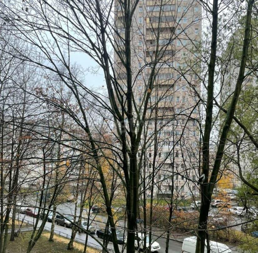 3-комн. квартира, 60 м2, 3/9 эт. Санкт-Петербург - изображение 6