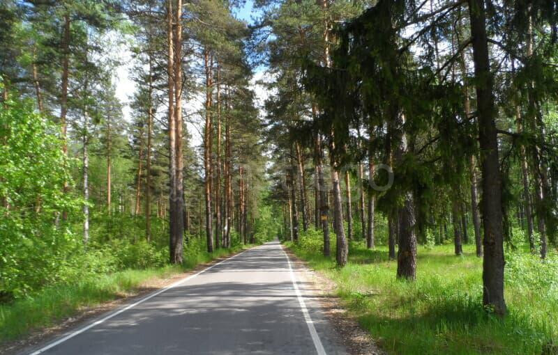 Земля под ИЖС, 8 соток Павловский Посад - изображение 9