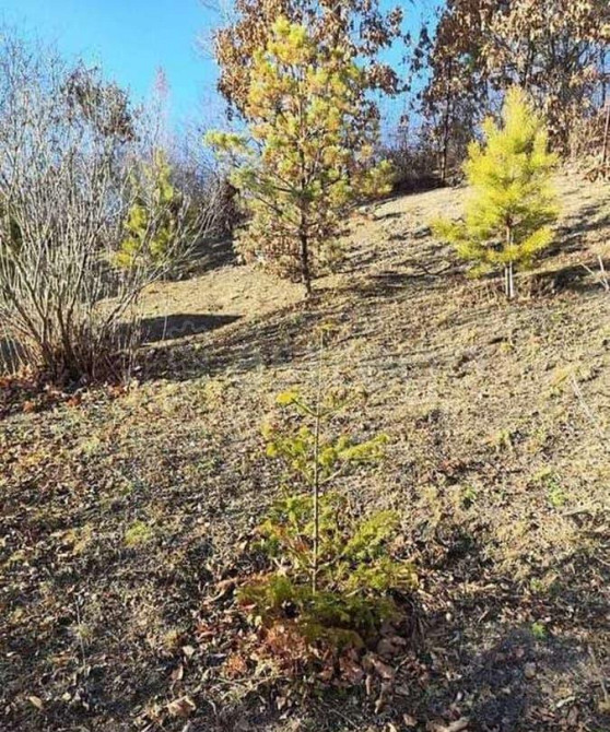 Дом, 64 м2, 16.5 сотки, 2 эт. Благовещенск - изображение 5