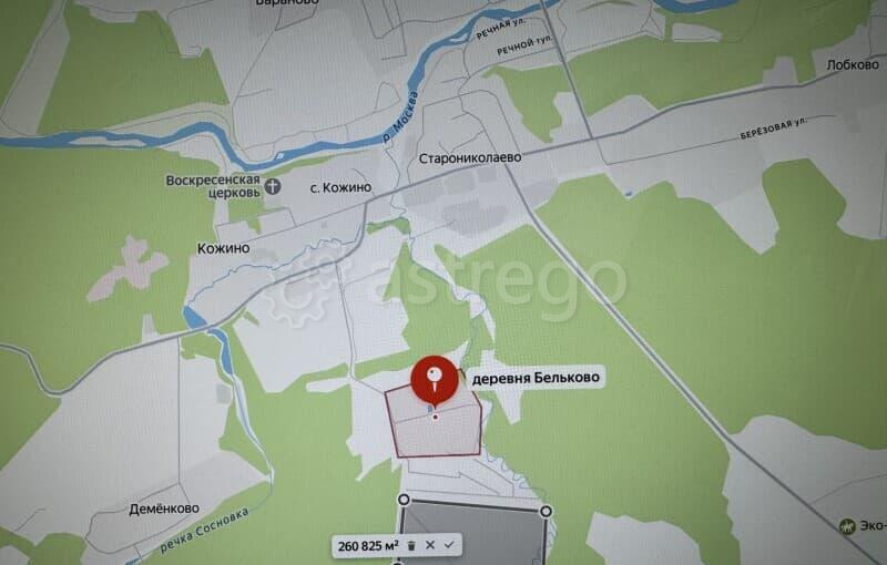 Земля с/х назначения, 26 га Руза - изображение 6