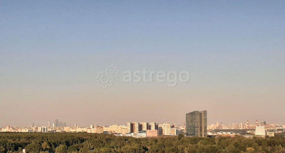 3-комн. квартира, 78 м2, 17/25 эт. Одинцово - изображение 3