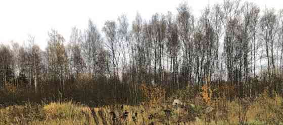 Земля с/х назначения, 7.8 сотки Солнечногорск