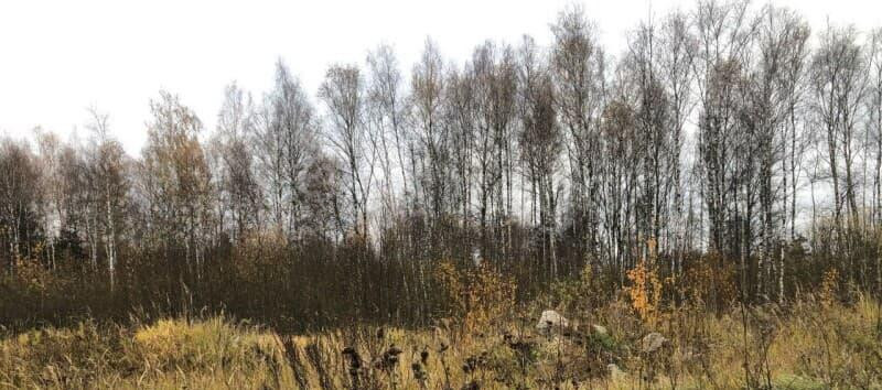 Земля с/х назначения, 7.8 сотки Солнечногорск - изображение 4