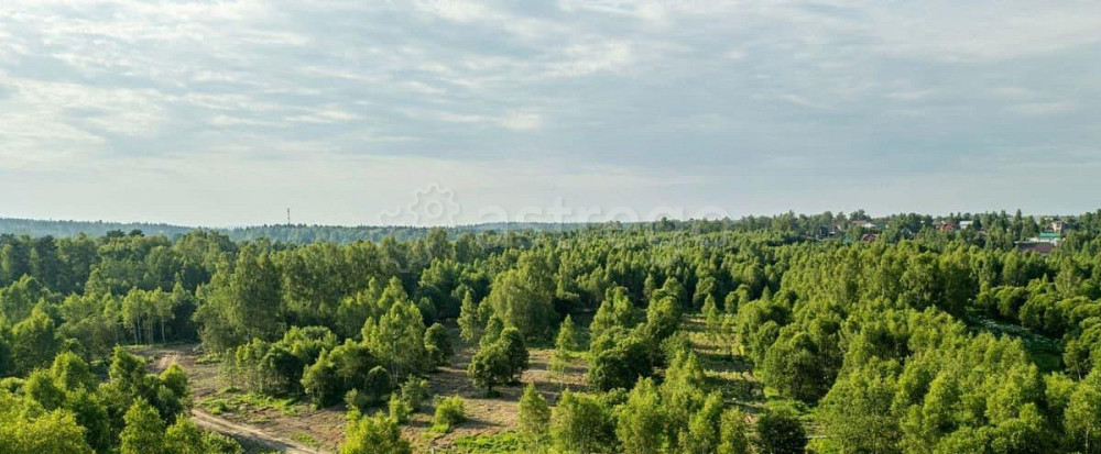 Земельный участок, 8 соток Руза - изображение 5