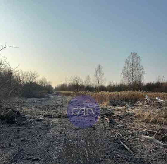 Земельный участок, 10 соток Орехово-Зуево