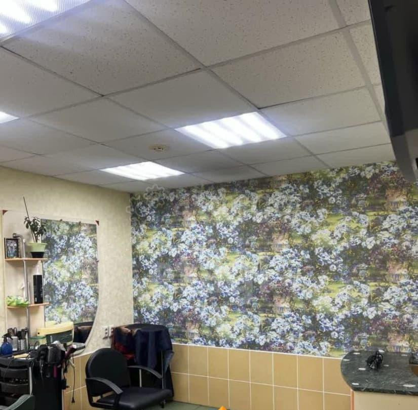 Готовый бизнес, 60.6 м2 Белгород - изображение 2