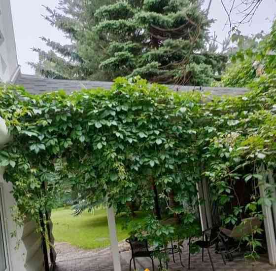 Дом, 234.6 м2, 9 соток, 3 эт. Королев