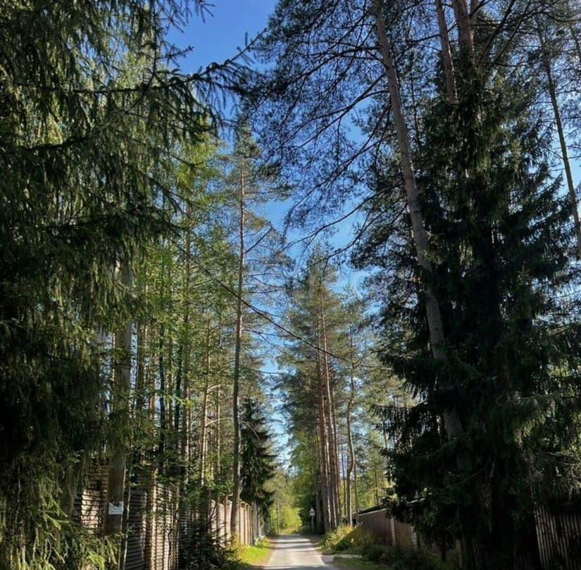 Земельный участок, 39 соток Санкт-Петербург - изображение 3
