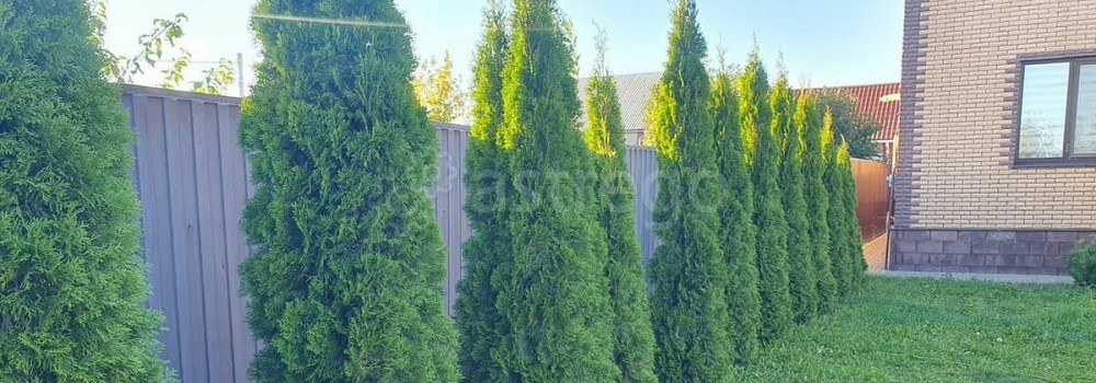 Дом, 114 м2, 6.5 сотки, 2 эт. Белгород - изображение 4