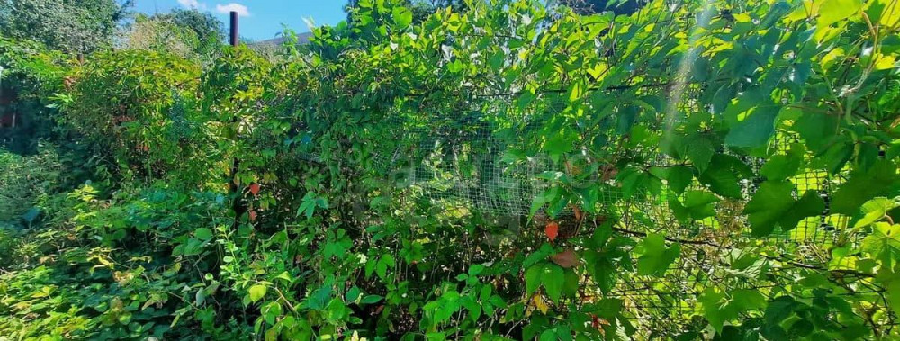 Дом, 28 м, 1 сотка, 1 эт. Майкоп - изображение 10