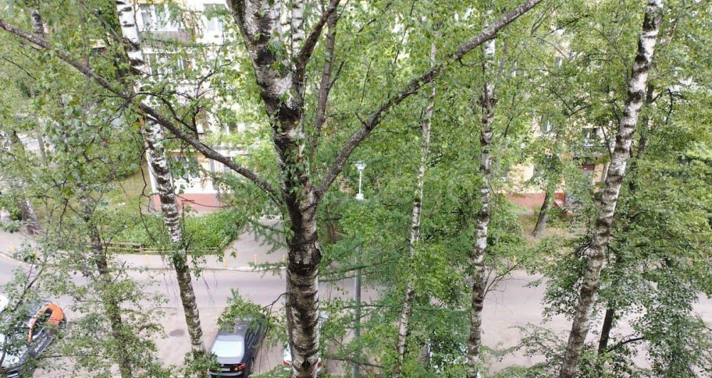 Комната, 15.3 м2, 5/5 эт. Мытищи - изображение 2