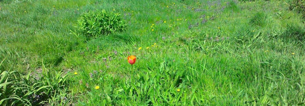 Коммерческий участок, 0.6 га Энем - изображение 1