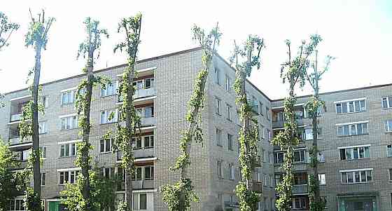 Комната, 11.7 м2, 2/5 эт. Королев