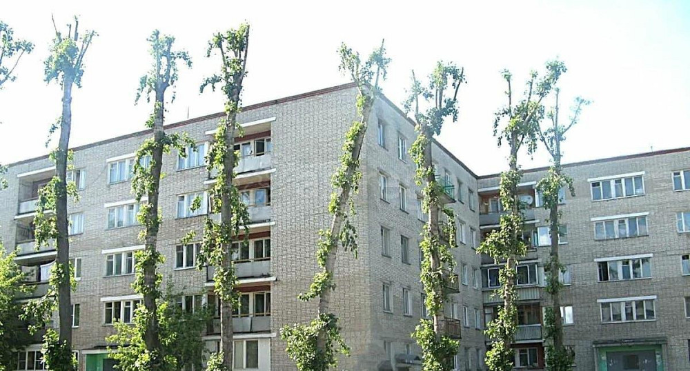 Комната, 11.7 м2, 2/5 эт. Королев - изображение 4