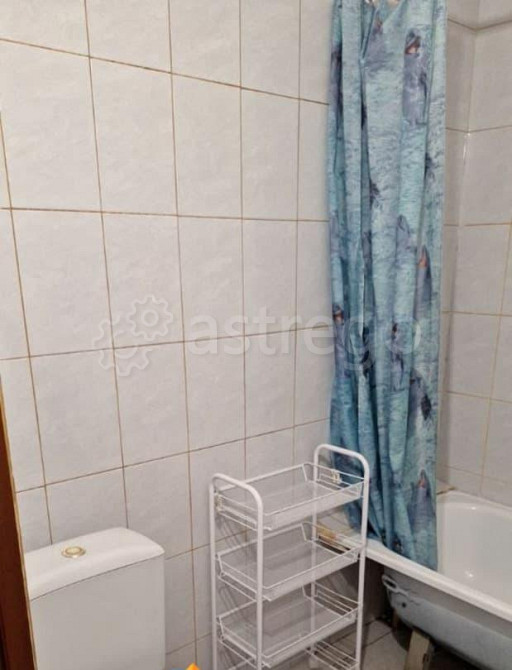 Студия, 23 м2, 1/10 эт. Красноярск - изображение 4