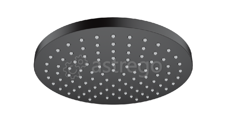 Верхний душ Hansgrohe, Vernis, тип установки - настенный, потолочный, размер душевого диска, мм 205х Москва - изображение 1