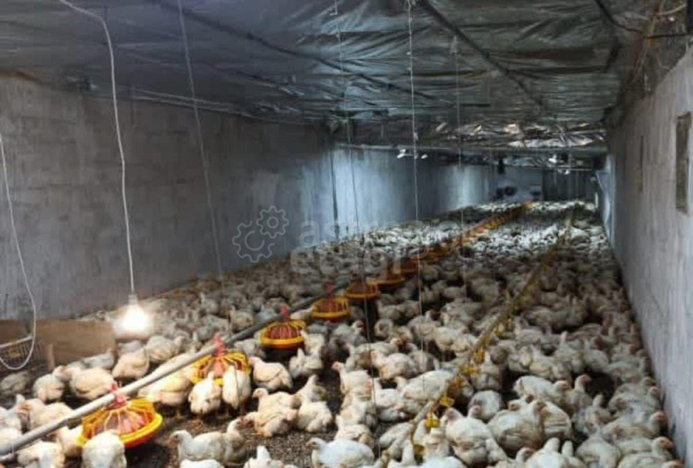 Коммерческий участок, Гиагинская - изображение 1