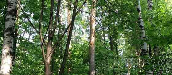 Земельный участок, 10 соток Балашиха