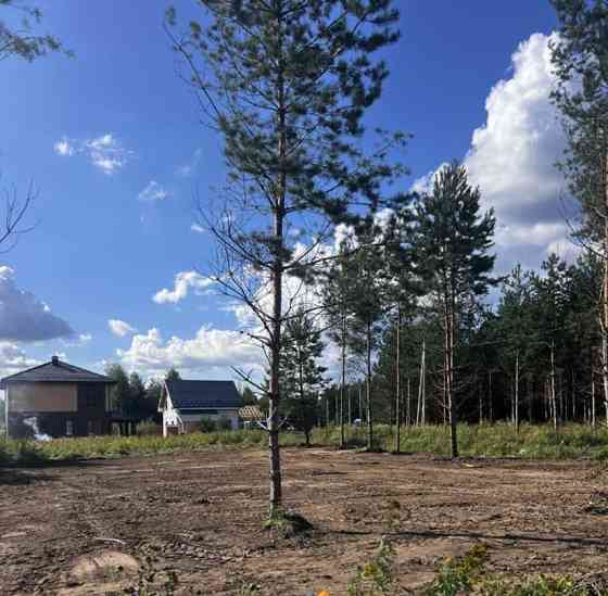 Земельный участок, 8 соток Раменское