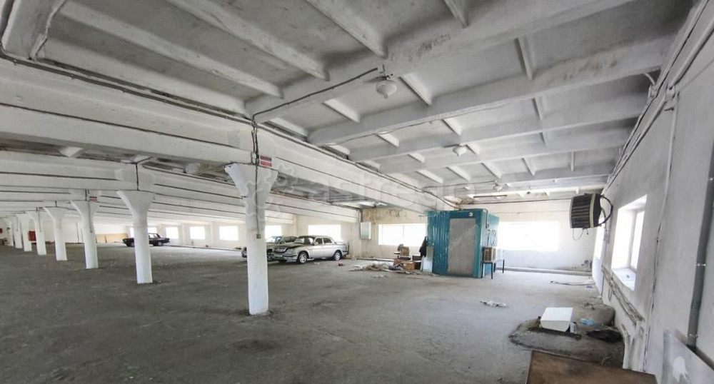 Свободного назначения, 1336.6 м2 Благовещенск - изображение 5