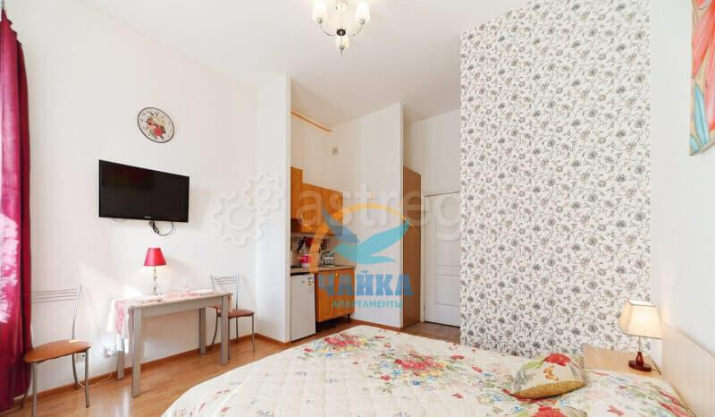 Студия, 20 м2, 4/4 эт. Санкт-Петербург - изображение 10