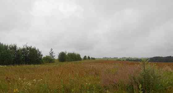 Земельный участок, 12 соток Шаховская