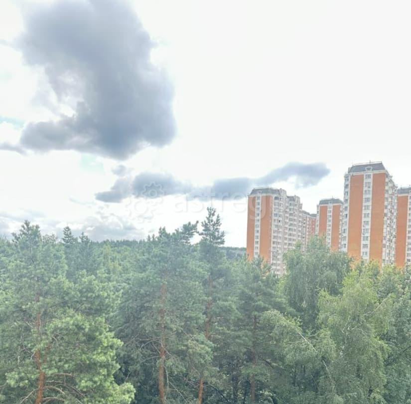 3-комн. квартира, 58.3 м2, 9/9 эт. Котельники - изображение 3