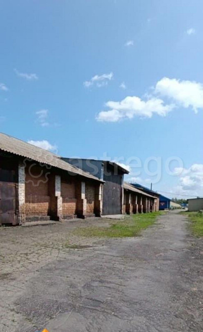 Земельный участок, 41 сотка Бийск - изображение 1