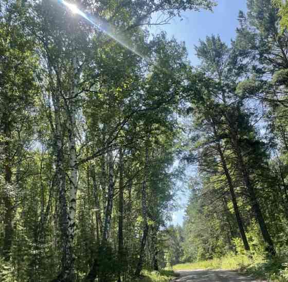 Земельный участок, 10 соток Емельяново