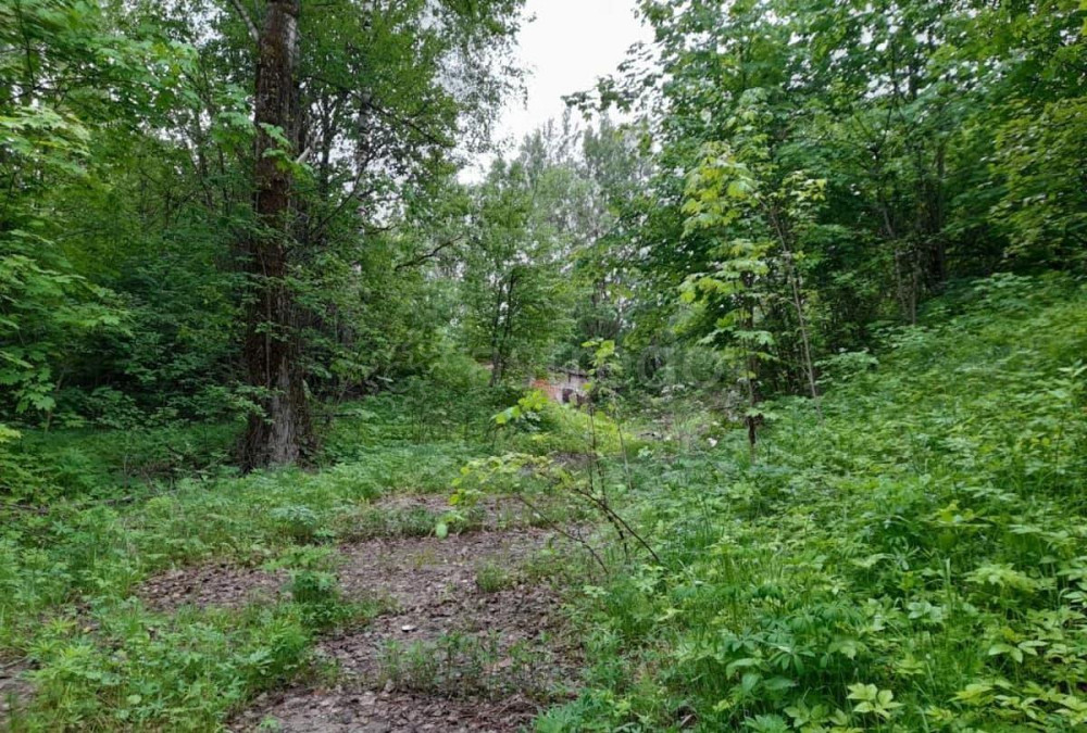 Отдельное здание, 20367.7 м2 Краснозаводск - изображение 8