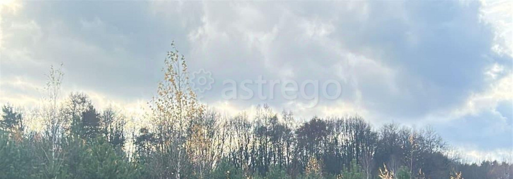 Земельный участок, 10 соток Ступино - изображение 1