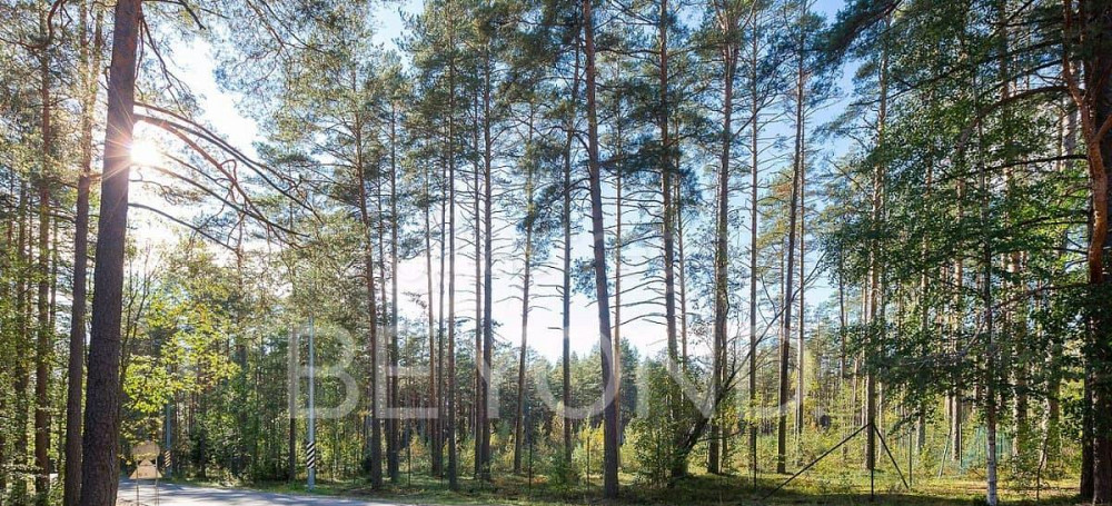 Земельный участок, 20 соток Санкт-Петербург - изображение 2