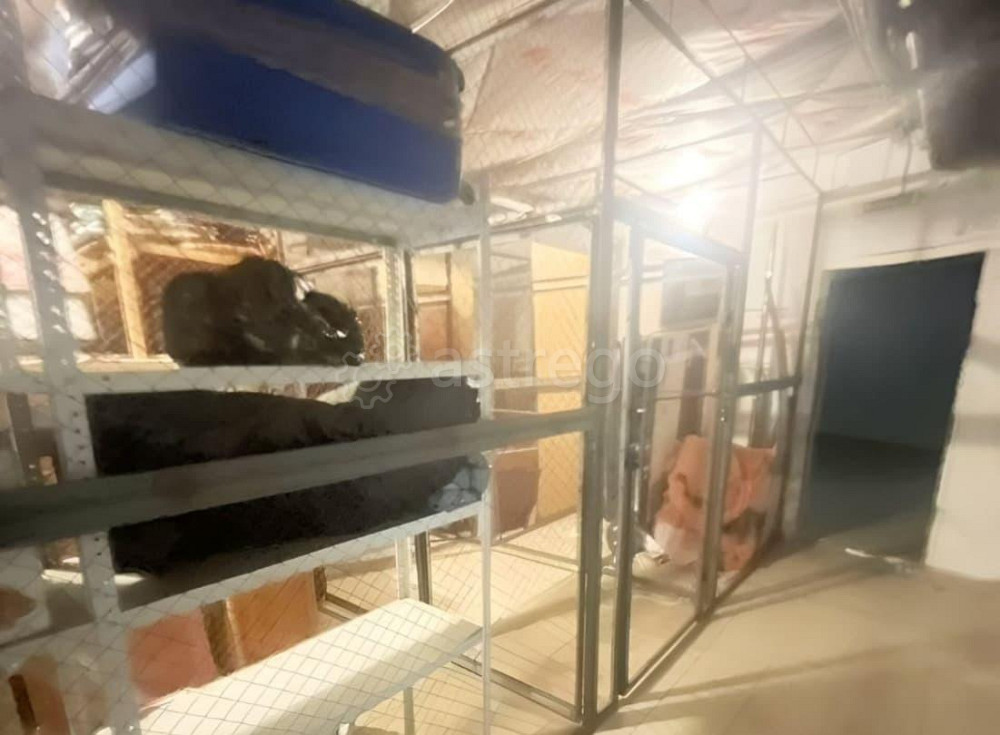 Склад, 3 м2 Новоалтайск - изображение 2